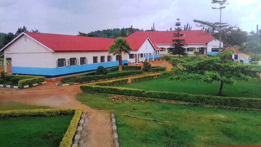 WhatsApp Image 2021-03-31 at 11.35.01 AM.jpeg